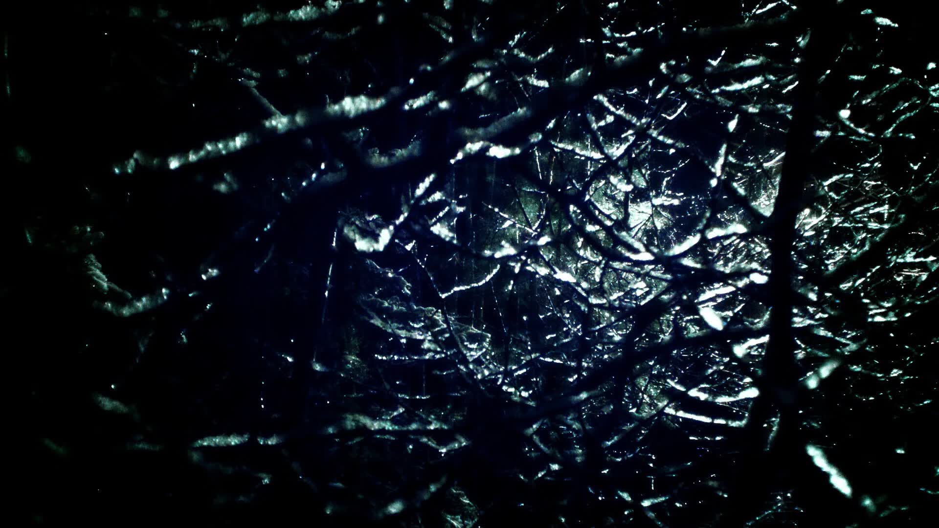 世界滑板公开赛线上直播观看人次创新高,世界滑板大赛视频